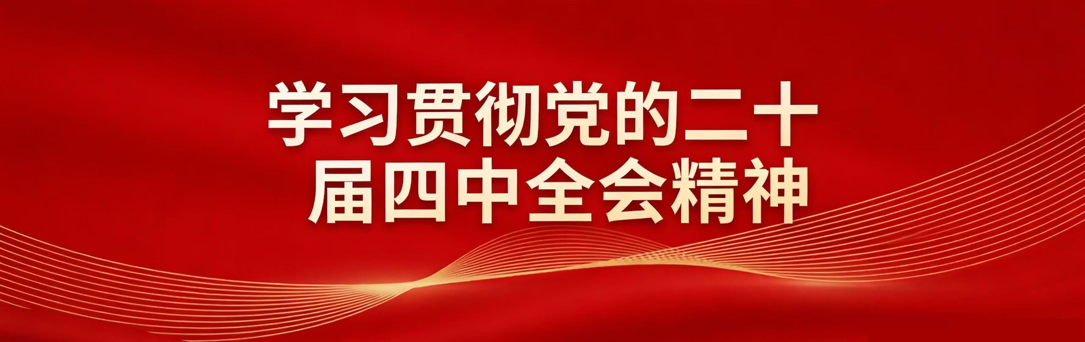 學(xué)習(xí)貫徹黨的第二十屆四中全會(huì)精神